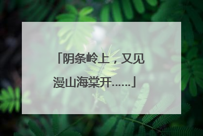 阴条岭上，又见漫山海棠开……