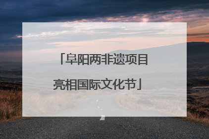 阜阳两非遗项目亮相国际文化节