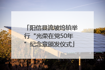 阳信县流坡坞镇举行“光荣在党50年”纪念章颁发仪式
