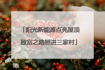 阳光新能源点亮屋顶 致富之路照进三家村
