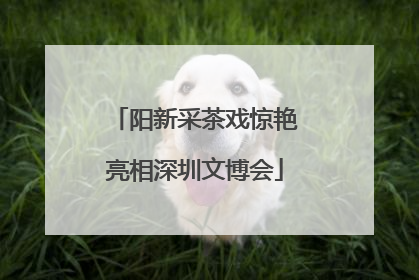 阳新采茶戏惊艳亮相深圳文博会