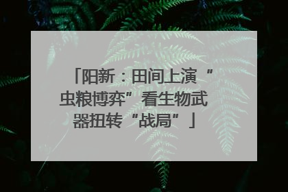 阳新：田间上演“虫粮博弈”看生物武器扭转“战局”