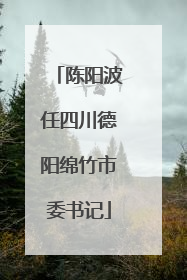 陈阳波任四川德阳绵竹市委书记