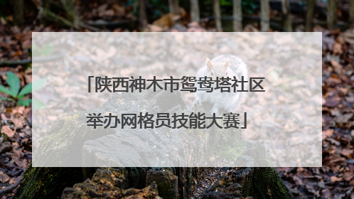 陕西神木市鸳鸯塔社区举办网格员技能大赛