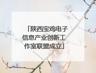 陕西宝鸡电子信息产业创新工作室联盟成立