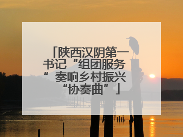 陕西汉阴第一书记“组团服务”奏响乡村振兴“协奏曲”