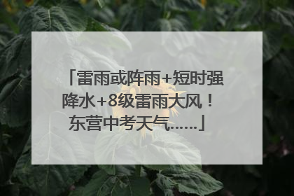 雷雨或阵雨+短时强降水+8级雷雨大风！东营中考天气……