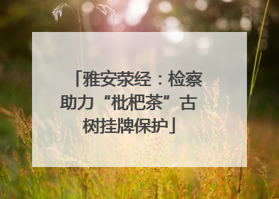 雅安荥经：检察助力“枇杷茶”古树挂牌保护
