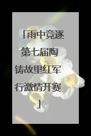 雨中竞逐 第七届陶铸故里红军行激情开赛