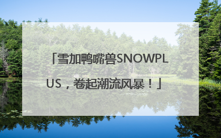 雪加鸭嘴兽SNOWPLUS，卷起潮流风暴！