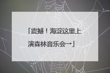 震撼！海淀这里上演森林音乐会→