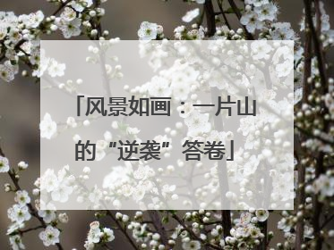 风景如画：一片山的“逆袭”答卷