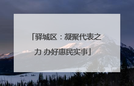 驿城区：凝聚代表之力 办好惠民实事