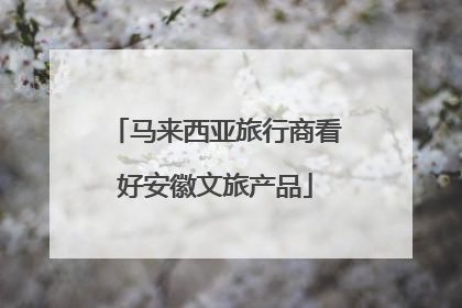马来西亚旅行商看好安徽文旅产品