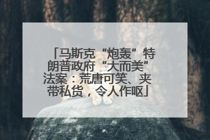 马斯克“炮轰”特朗普政府“大而美”法案：荒唐可笑、夹带私货，令人作呕
