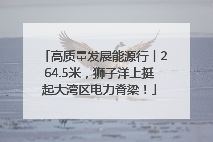 高质量发展能源行丨264.5米，狮子洋上挺起大湾区电力脊梁！