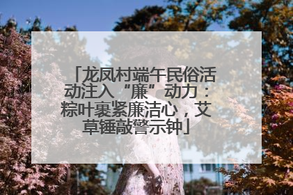 龙凤村端午民俗活动注入“廉”动力：粽叶裹紧廉洁心，艾草锤敲警示钟