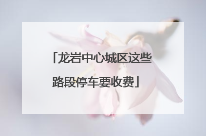龙岩中心城区这些路段停车要收费