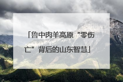 鲁中肉羊高原“零伤亡”背后的山东智慧
