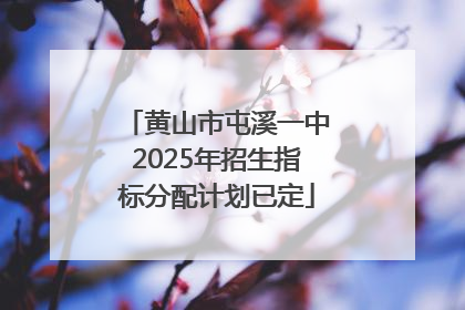 黄山市屯溪一中2025年招生指标分配计划已定