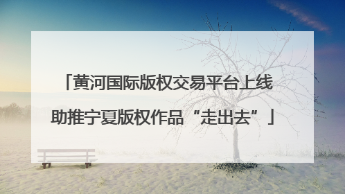 黄河国际版权交易平台上线 助推宁夏版权作品“走出去”