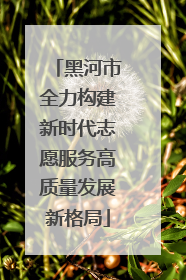 黑河市全力构建新时代志愿服务高质量发展新格局