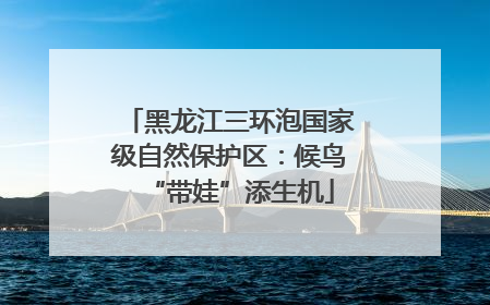 黑龙江三环泡国家级自然保护区：候鸟“带娃”添生机