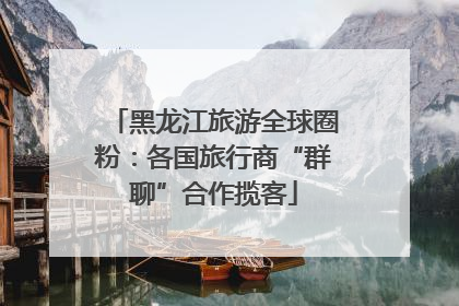 黑龙江旅游全球圈粉：各国旅行商“群聊”合作揽客