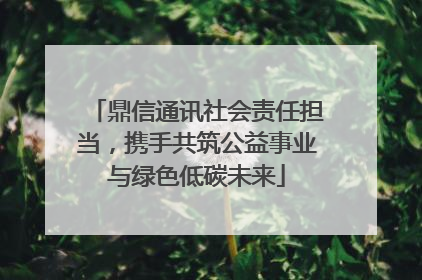 鼎信通讯社会责任担当，携手共筑公益事业与绿色低碳未来