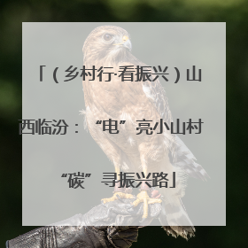 （乡村行·看振兴）山西临汾：“电”亮小山村 “碳”寻振兴路