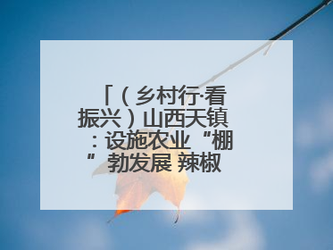 （乡村行·看振兴）山西天镇：设施农业“棚”勃发展 辣椒产业蓄势待发