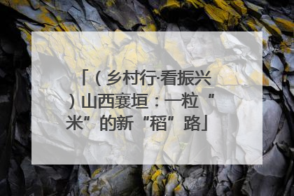 （乡村行·看振兴）山西襄垣：一粒“米”的新“稻”路
