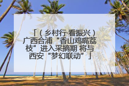 （乡村行·看振兴）广西合浦“香山鸡嘴荔枝”进入采摘期 将与西安“梦幻联动”