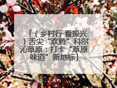 （乡村行·看振兴）舌尖“欢腾”科尔沁草原：打卡“草原味道”新地标