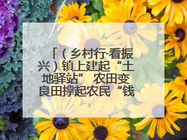 （乡村行·看振兴）镇上建起“土地驿站” 农田变良田撑起农民“钱袋子”