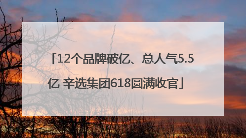 12个品牌破亿、总人气5.5亿 辛选集团618圆满收官