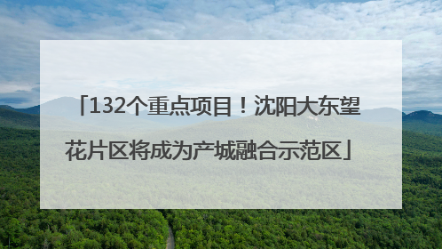 132个重点项目！沈阳大东望花片区将成为产城融合示范区