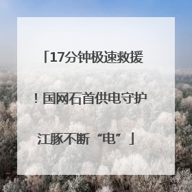 17分钟极速救援！国网石首供电守护江豚不断“电”