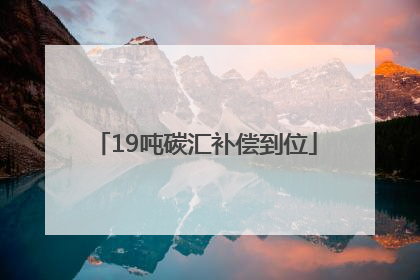 19吨碳汇补偿到位