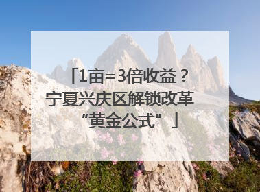 1亩=3倍收益？宁夏兴庆区解锁改革“黄金公式”