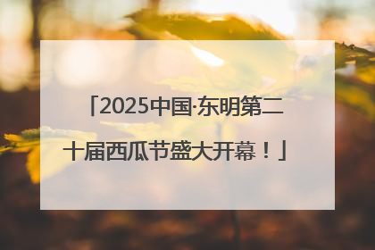 2025中国·东明第二十届西瓜节盛大开幕！