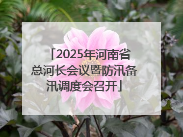 2025年河南省总河长会议暨防汛备汛调度会召开