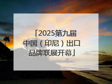 2025第九届中国（印尼）出口品牌联展开幕