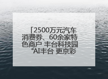 2500万元汽车消费券、60余家特色商户 丰台科技园“AI丰台 更京彩”未来玩家市集活动正式开幕