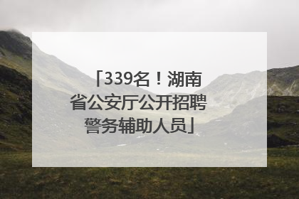 339名！湖南省公安厅公开招聘警务辅助人员