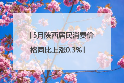 5月陕西居民消费价格同比上涨0.3%