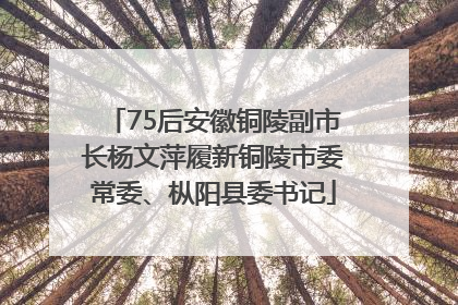 75后安徽铜陵副市长杨文萍履新铜陵市委常委、枞阳县委书记