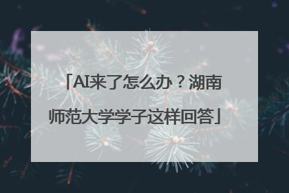 AI来了怎么办？湖南师范大学学子这样回答