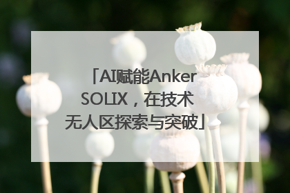 AI赋能Anker SOLIX，在技术无人区探索与突破