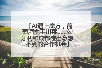 AI遇上魔方，葡萄酒携手川菜……匈牙利和成都碰出意想不到的合作机会